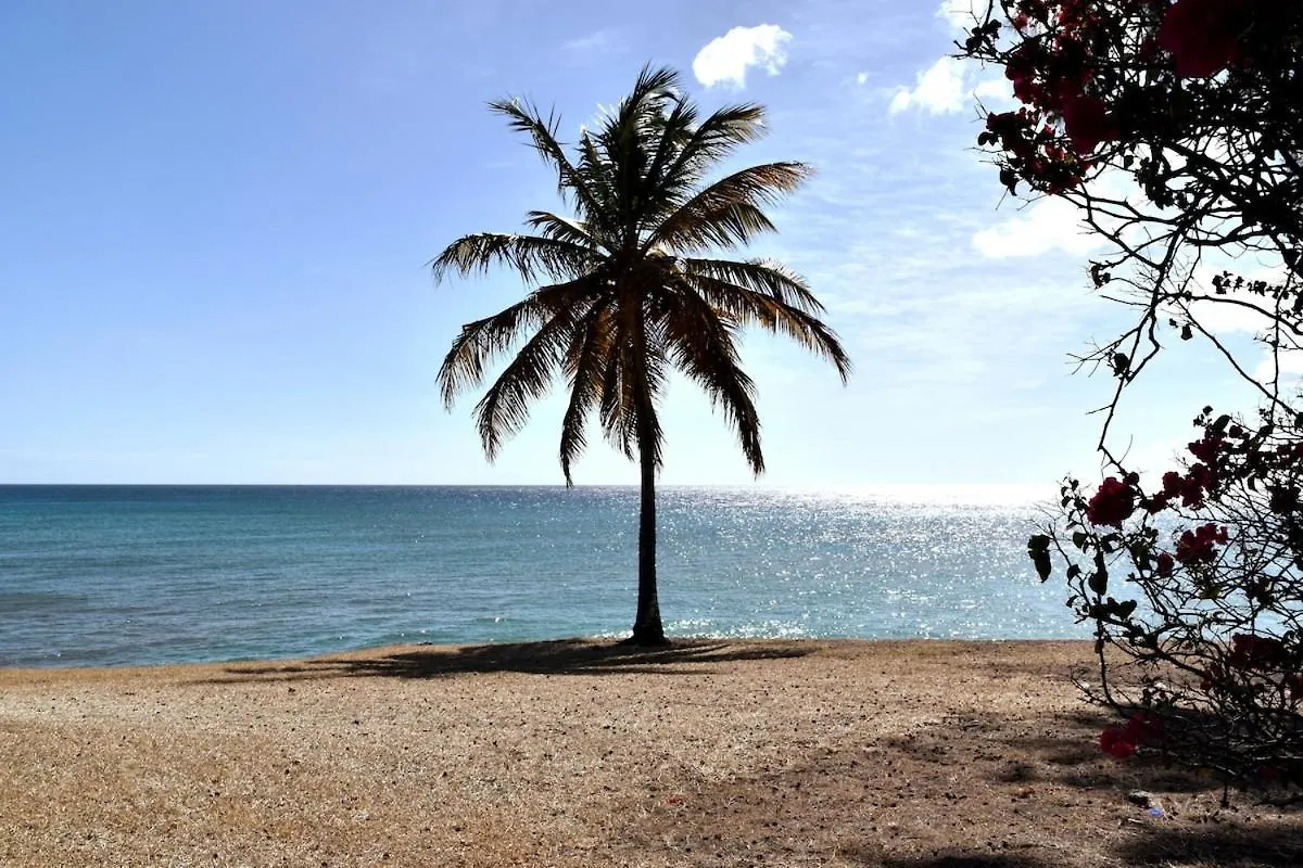 Apartman Cozy Beach Surf Christ Church