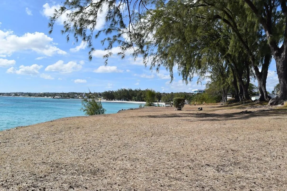 Cozy Beach Surf Christ Church